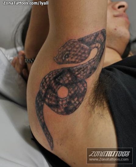 Tattoo photo Animals, Snakes, Forearm