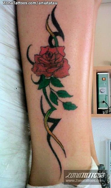 Tattoo photo Roses, Flowers