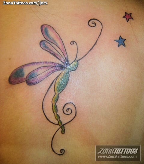 Tattoo photo Dragonflies, Insects