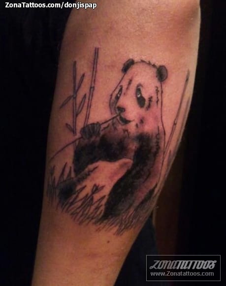 Tattoo photo Animals, Panda