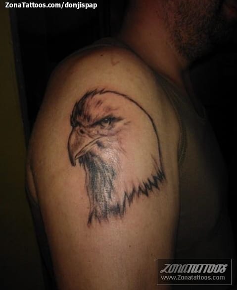 Foto de tatuaje Animales, Aves, Águilas