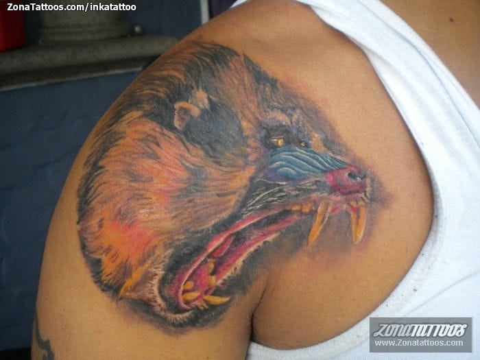 Foto de tatuaje Monos, Mandriles, Animales