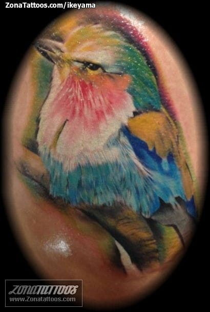 Tattoo photo Animals, Birds