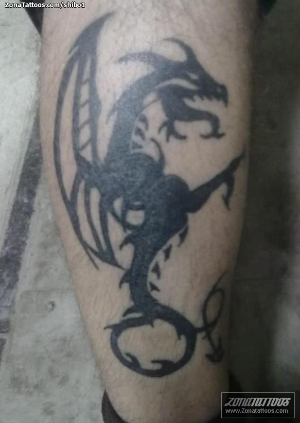 Foto de tatuaje Dragones