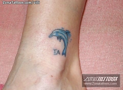 Tattoo of Dolphins, Animals