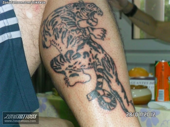 Tattoo photo Tigers, Animals