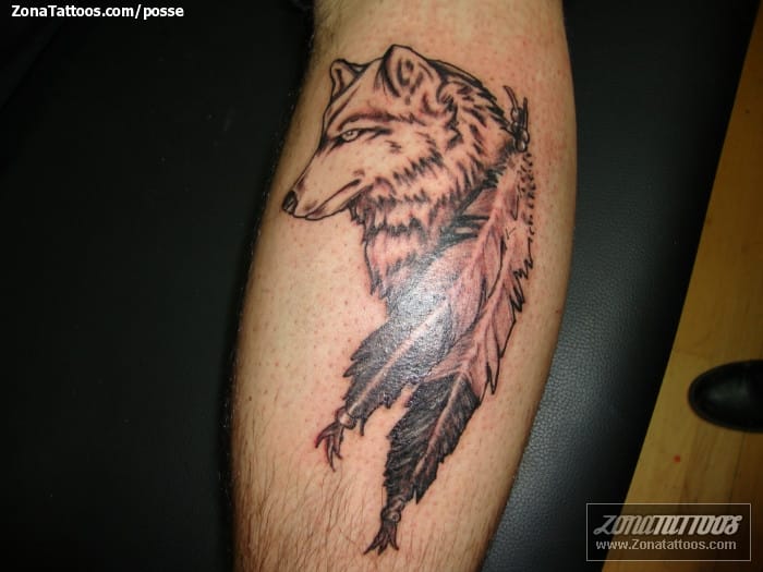 Tattoo photo Wolfs, Animals, Feathers