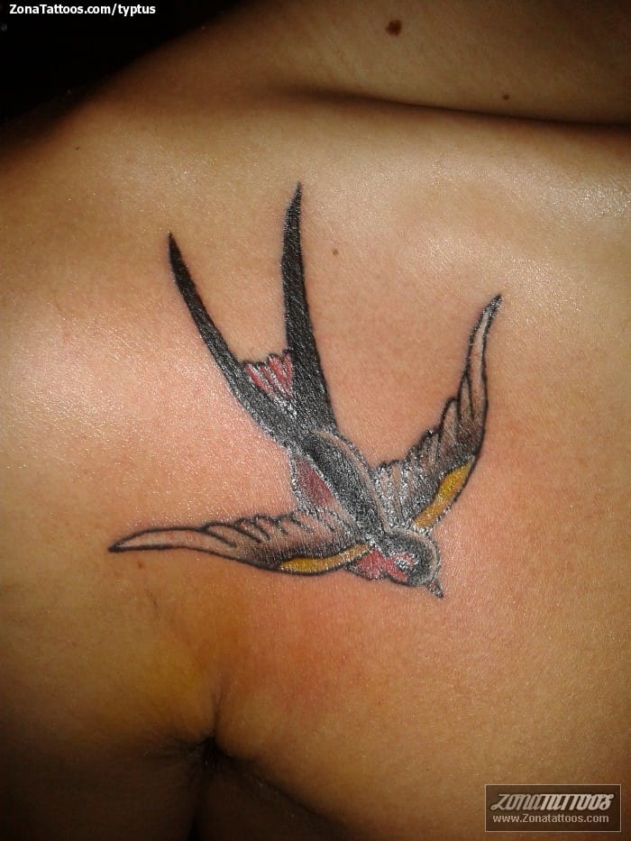 Tattoo photo Birds, Old School, Swallows