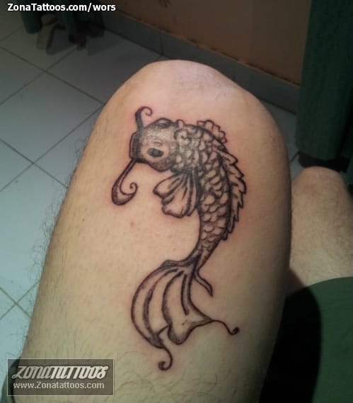 Tattoo photo Fish, Koi, Animals