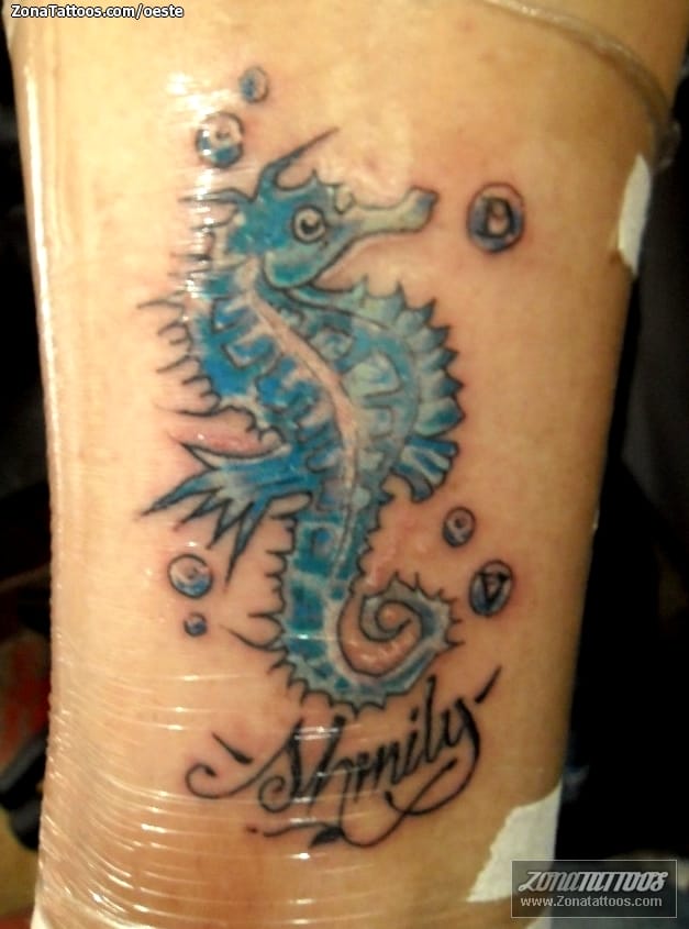 Tattoo photo Seahorses, Animals