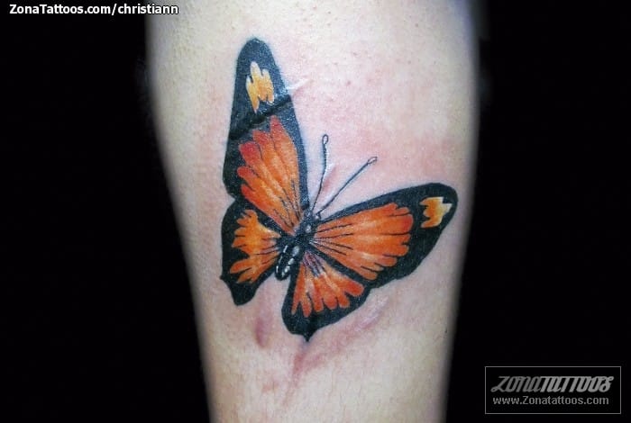 Foto de tatuaje Mariposas, Insectos