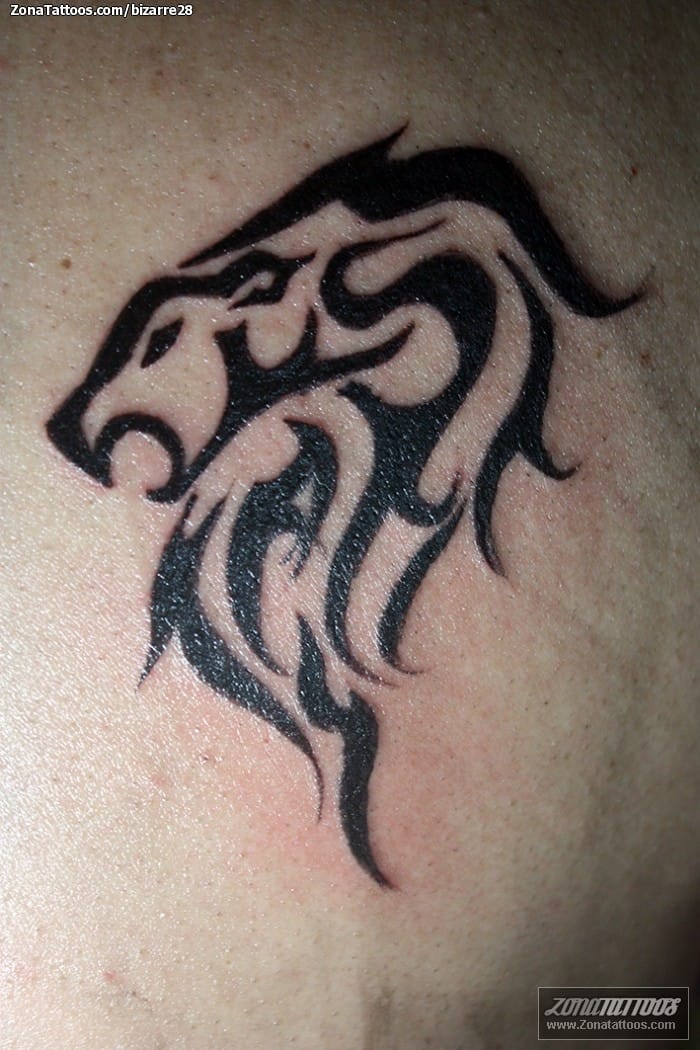 Tattoo photo Lions, Tribal, Animals