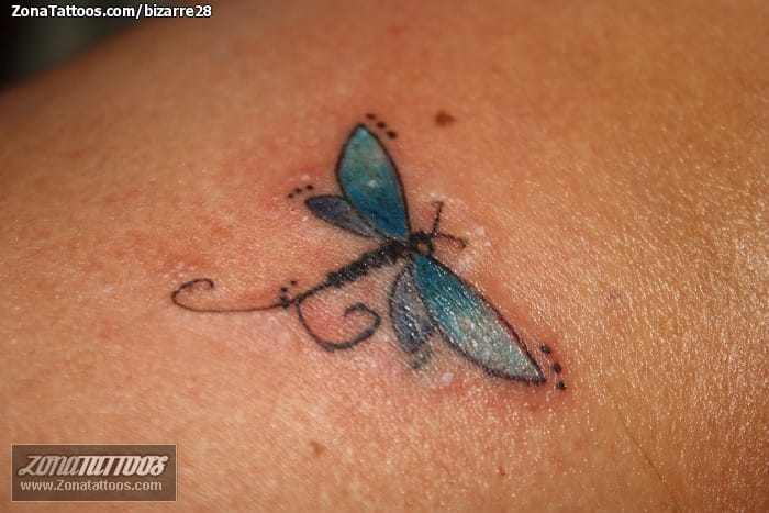 Foto de tatuaje Insectos, Libélulas