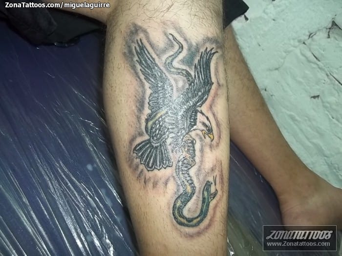 Tattoo photo Birds, Eagles, Animals