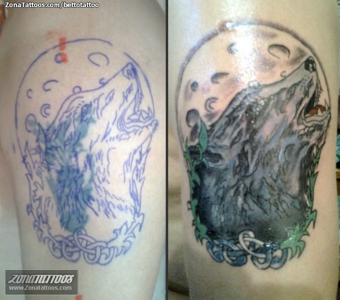 Foto de tatuaje Cover Up, Lobos, Animales