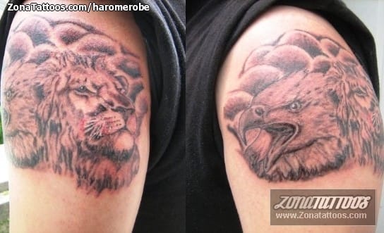 Foto de tatuaje Leones, Águilas, Animales