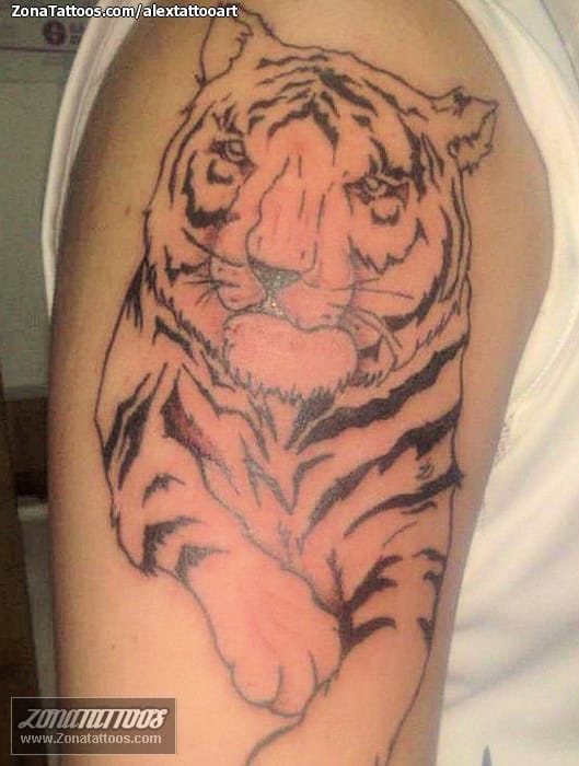 Tattoo photo Tigers, Animals