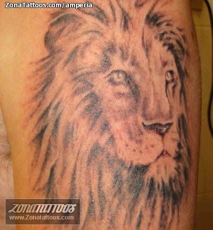 Tattoo photo Animals, Lions, Animals