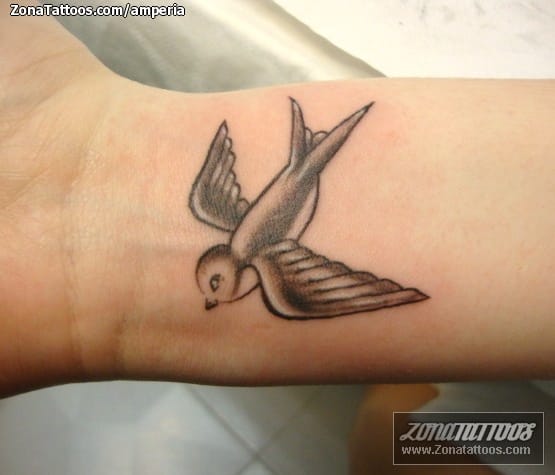 Foto de tatuaje Old School, Golondrinas, Aves