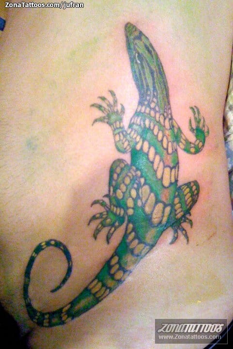 Tattoo photo Animals, Lizards