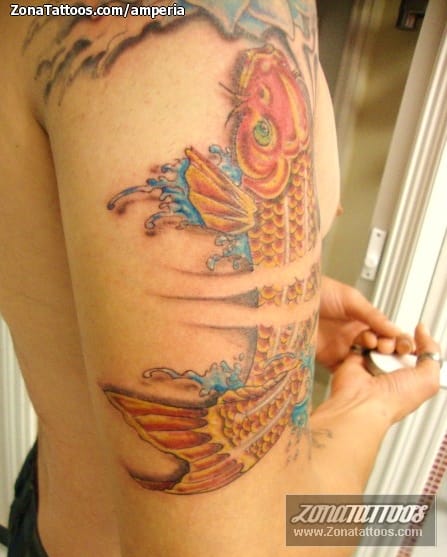 Foto de tatuaje Koi, Peces, Animales