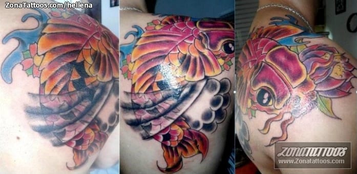 Foto de tatuaje Koi, Peces, Animales