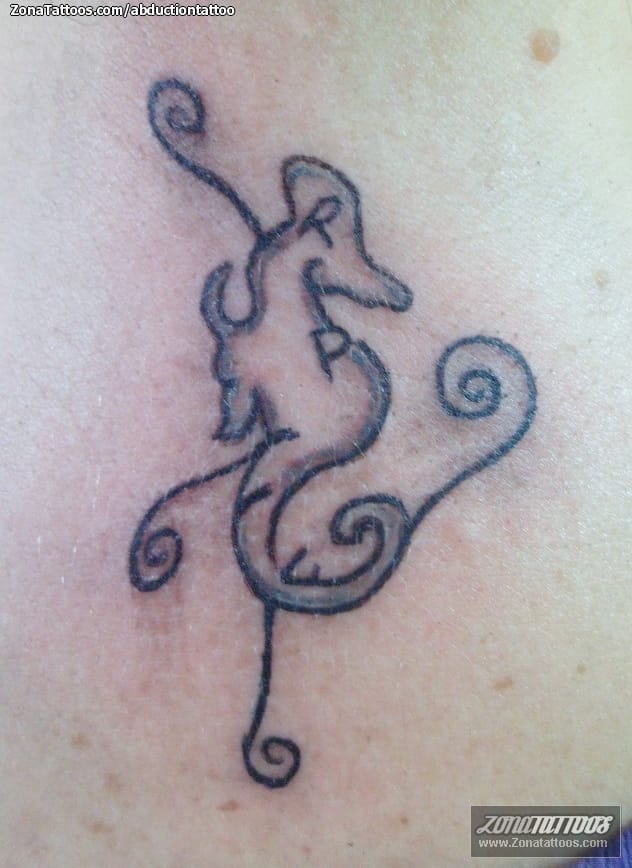 Tattoo photo Seahorses, Animals