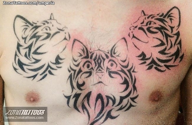 Tattoo photo Animals, Cats, Tribal