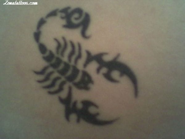 Tattoo photo Scorpions, Insects, Tribal