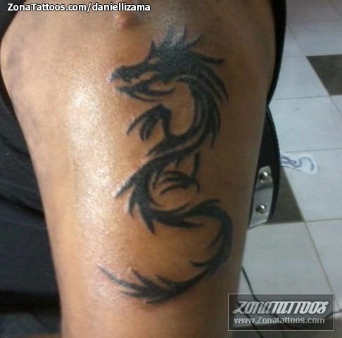 Foto de tatuaje Dragones, Tribales