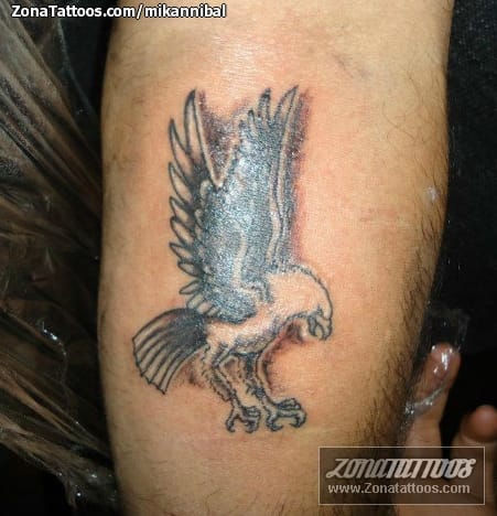 Tattoo photo Birds, Eagles, Animals