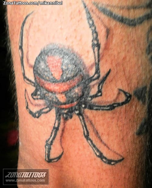 Foto de tatuaje Arañas, Insectos