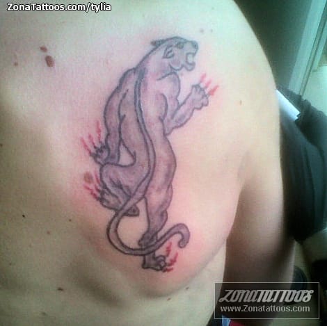 Tattoo photo Panthers, Animals