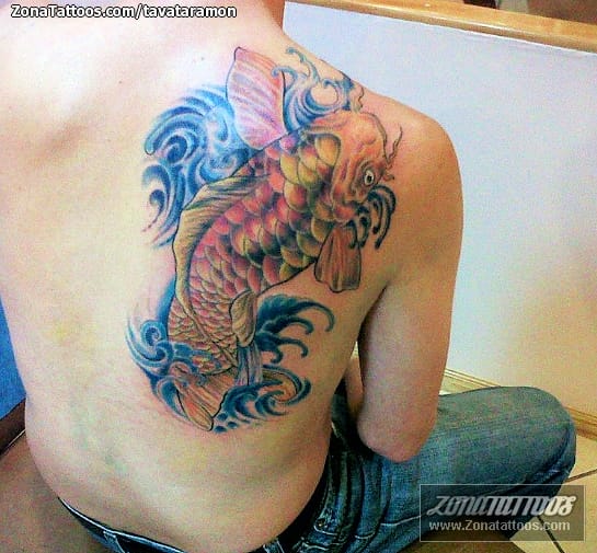 Tattoo photo Koi, Fish, Shoulder blade