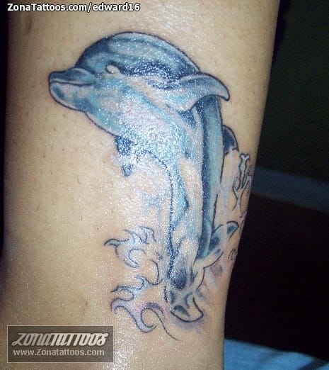 Tattoo photo Dolphins, Animals