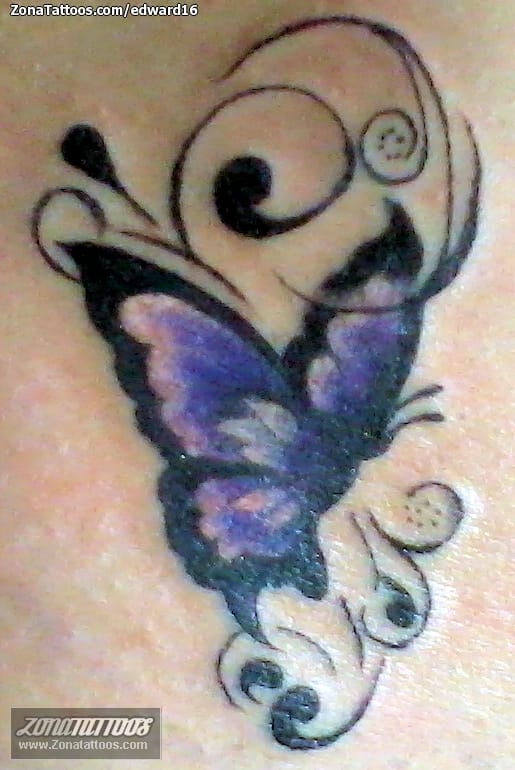 Tattoo photo Butterflies, Insects