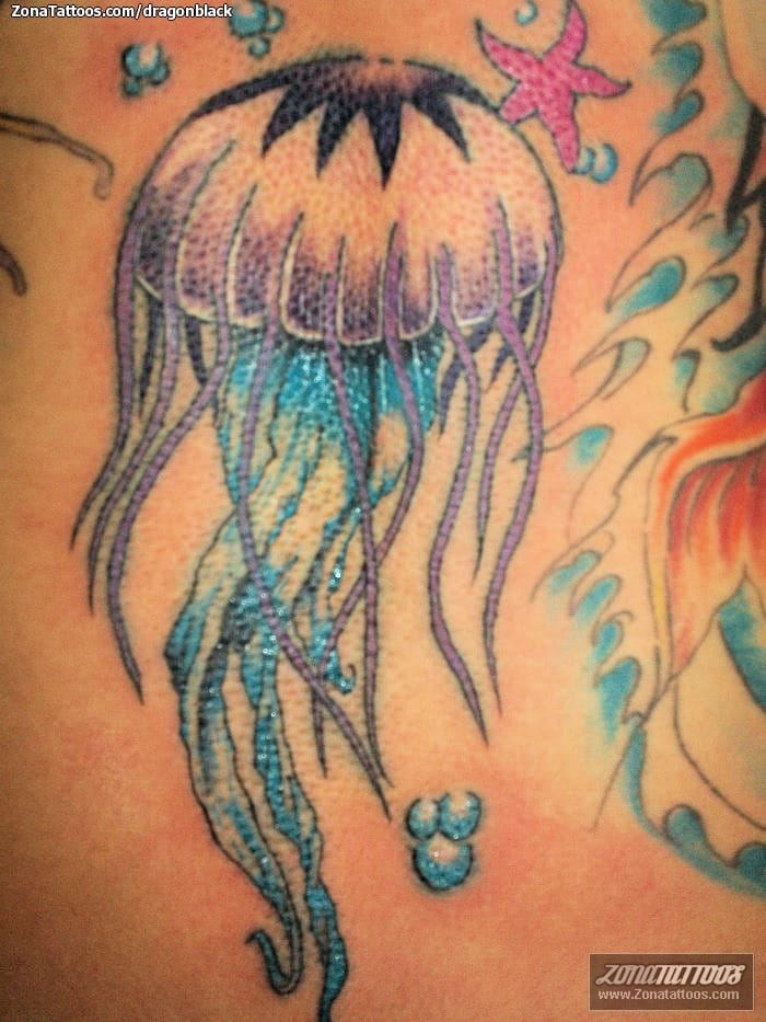 Tattoo photo Jellyfish, Animals