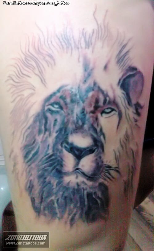 Tattoo photo Lions, Animals