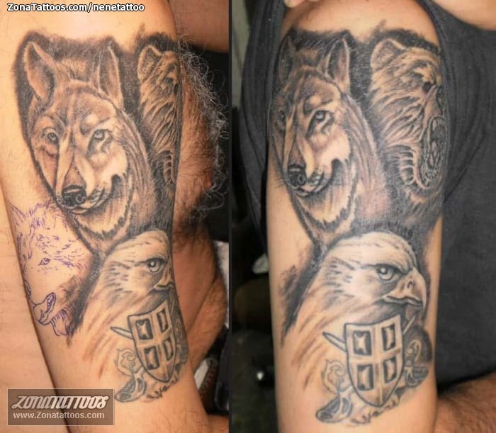 Tattoo photo Animals, Wolfs, Eagles