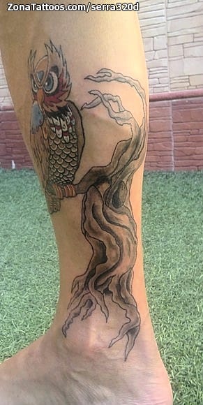 Foto de tatuaje Árboles, Búhos, Animales