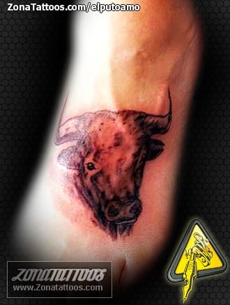 Tattoo photo Animals, Bulls, Instep