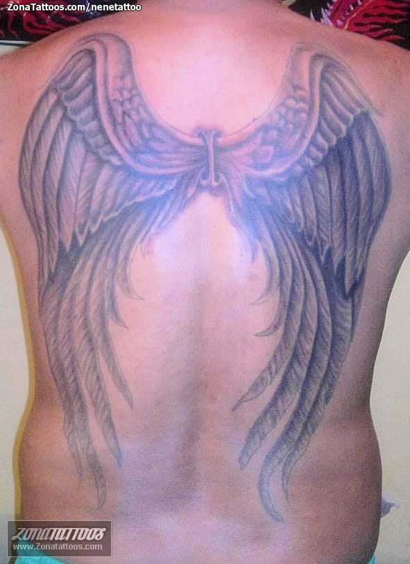 Tattoo photo Wings, Back