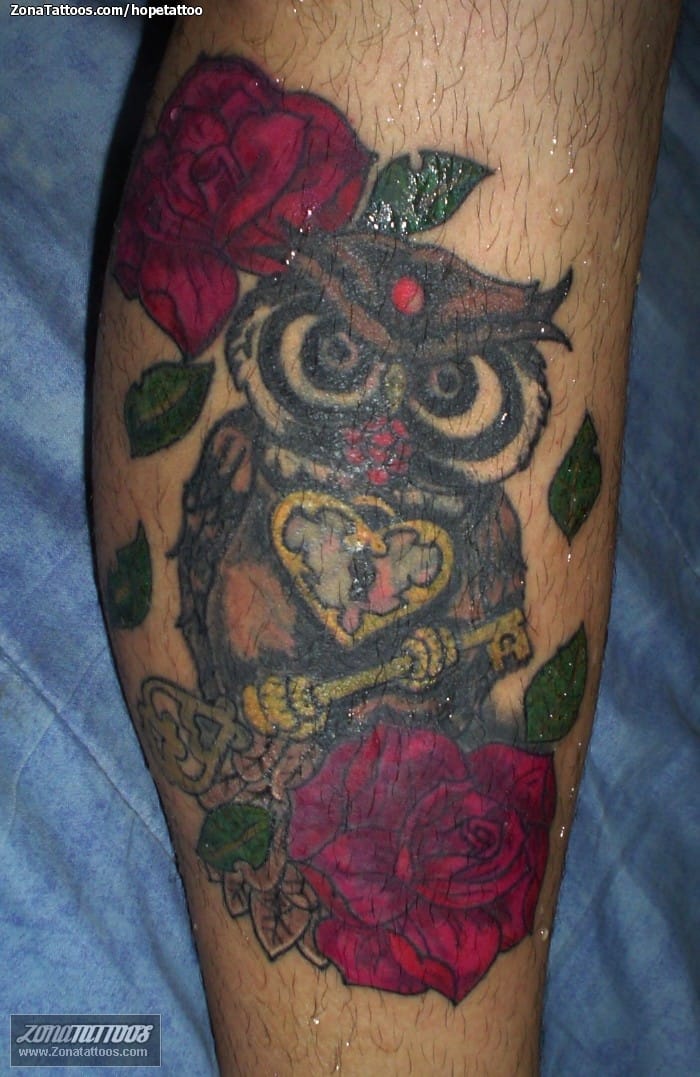 Tattoo photo Birds, Owls, Keys