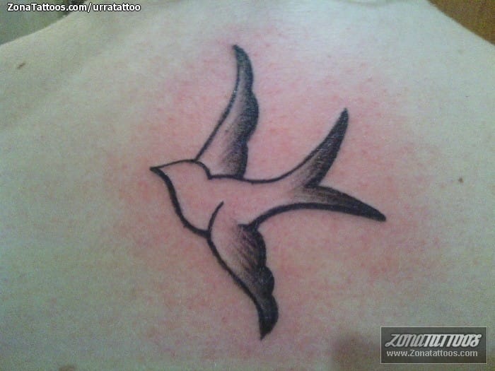 Foto de tatuaje Golondrinas, Aves, Animales