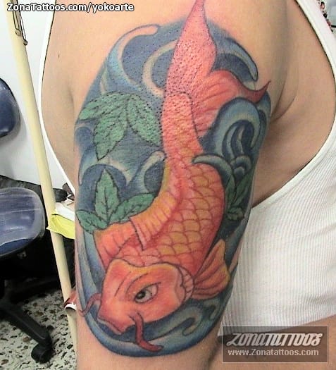 Foto de tatuaje Koi, Peces, Agua