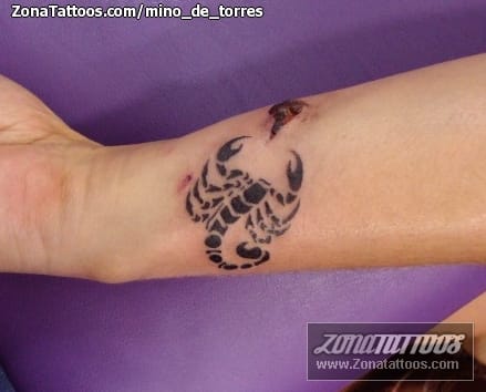 Tattoo photo Scorpions, Insects