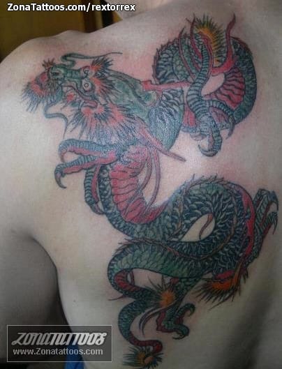 Tattoo photo Dragons, Asian