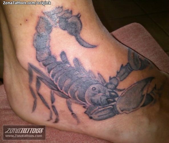 Tattoo photo Scorpions, Foot, Insects