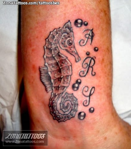 Tattoo photo Seahorses, Animals