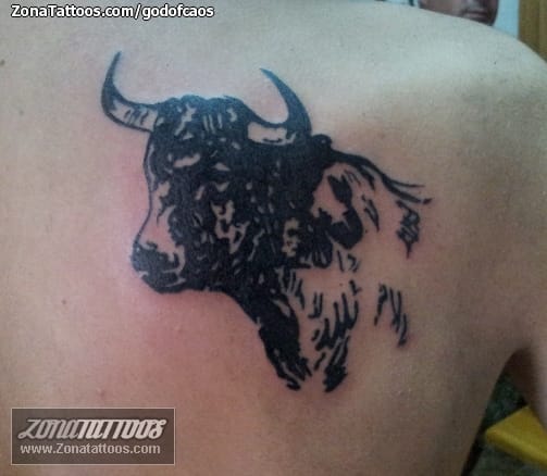 Tattoo photo Animals, Bulls